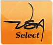 logo-vsa-select