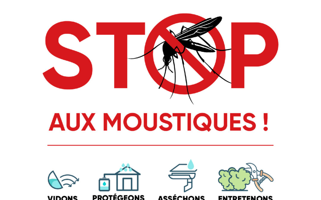 Moustiques tigres : les bons gestes à adopter
