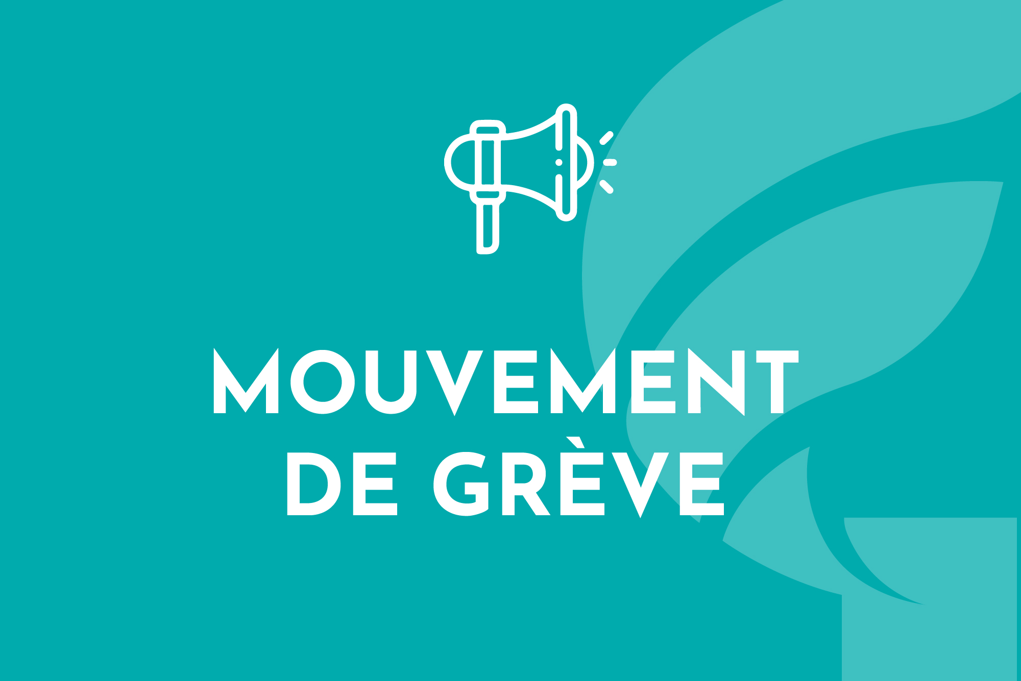 vignettes web-greve