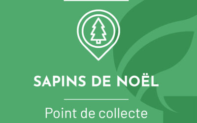 Déposez vos sapins de Noël sur le parking du château d&rsquo;eau